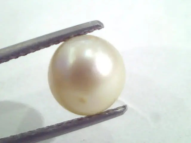3.85 Ct Natural Certified Real South Sea Pearl,Certified Moti