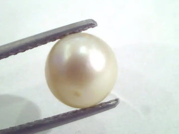 3.85 Ct Natural Certified Real South Sea Pearl,Certified Moti