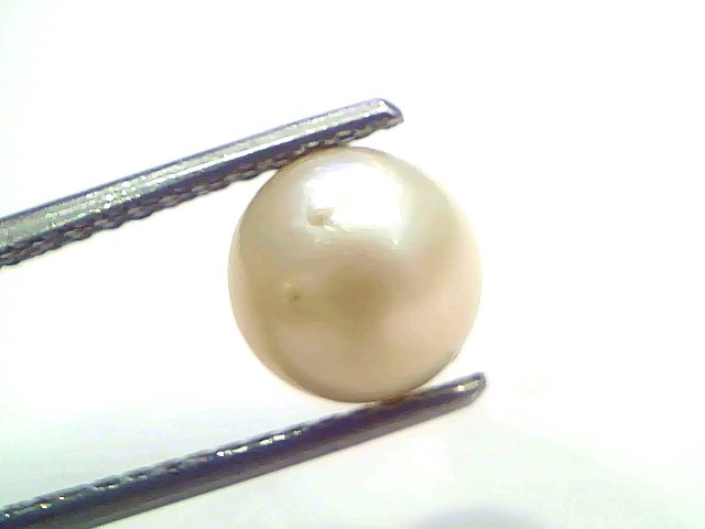 3.82 Carat Natural Certified Real South Sea Pearl (Moti) – 4.19 Ratti | Moon Gemstone