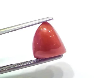 3.88 Ct 4.26 Ratti Natural Italian Triangle Red Coral Moonga Gemstone - Venus Gems