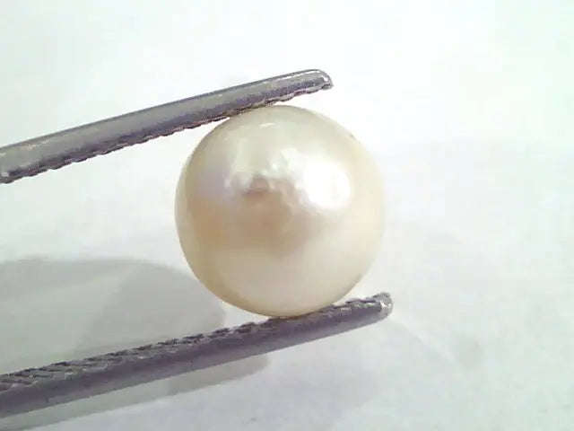 3.88 Ct Natural Certified Real South Sea Pearl,Certified Moti
