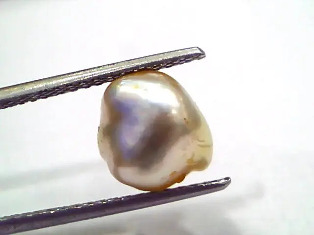 3.86 Ct Certified Natural Venunjula Real Sea Pearl, Real Moti