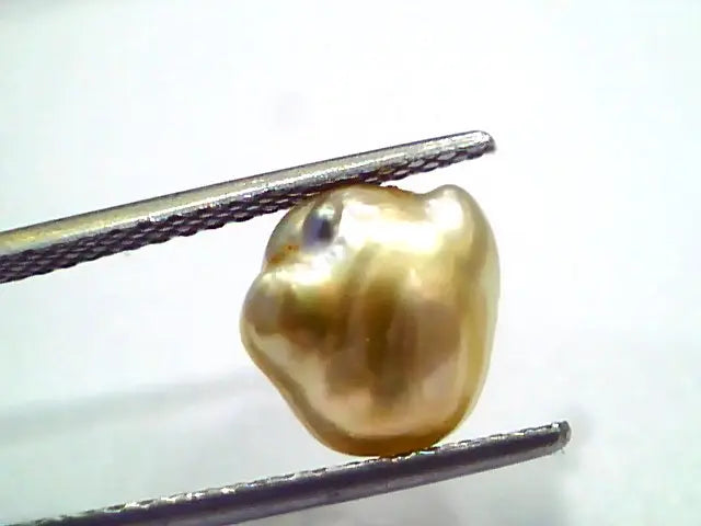 3.86 Ct Certified Natural Venunjula Real Sea Pearl, Real Moti