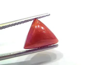3.92 Ct 4.30 Ratti Natural Italian Triangle Red Coral Moonga Gemstone - Venus Gems