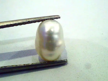 3.93 Ct Certified Natural Venunjula Real Pearl/Real Moti