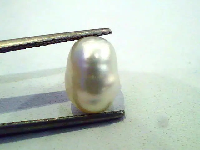 3.93 Ct Certified Natural Venunjula Real Pearl/Real Moti