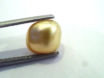 3.94 Ct Certified Yellow Tinge Natural Venunjula Real Pearl/Real Moti