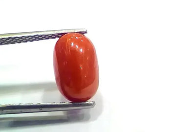 4.04 Ct 4.48 Ratti Natural Italian Red Coral Moonga Gemstone - Venus Gems