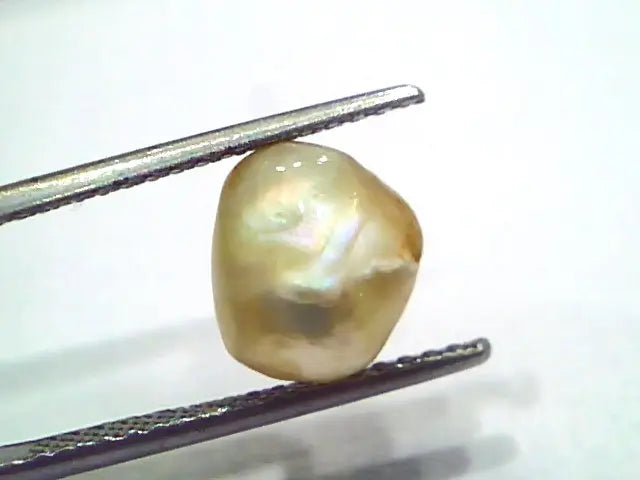 3.95 Ct Certified Natural Venunjula Real Sea Pearl, Real Moti