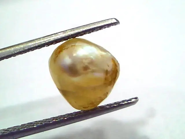 3.95 Ct Certified Natural Venunjula Real Sea Pearl, Real Moti