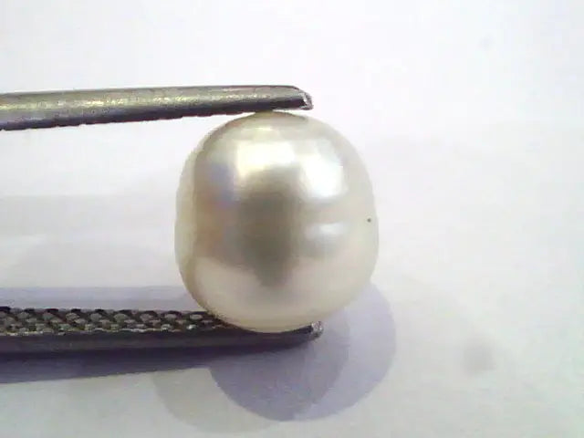 3.95 Ct Certified Natural Venunjula Real Pearl/Real Moti