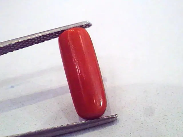 3.96 Carat Untreated Natural Red Coral Gemstone For Mangal