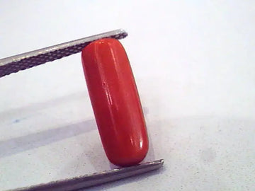3.96 Carat Untreated Natural Red Coral Gemstone For Mangal