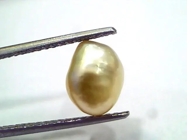 3.97 Ct Certified Natural Venunjula Real Sea Pearl, Real Moti