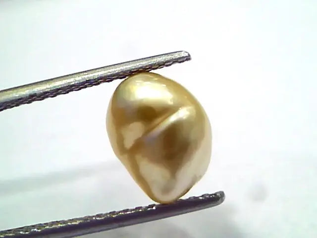 3.97 Ct Certified Natural Venunjula Real Sea Pearl, Real Moti