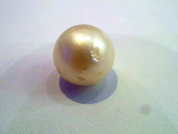 2.27 Ct Certified Natural South Sea Pearl,Moti Certified