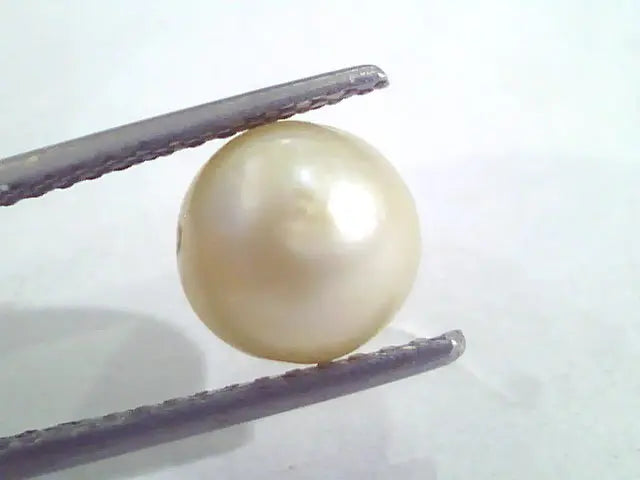 4.86 Ct Natural Certified Real South Sea Pearl,Certified Moti