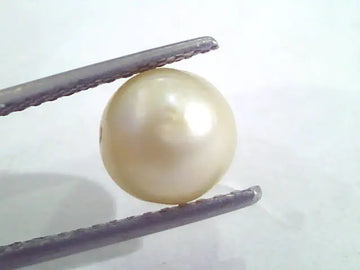 4.86 Ct Natural Certified Real South Sea Pearl,Certified Moti