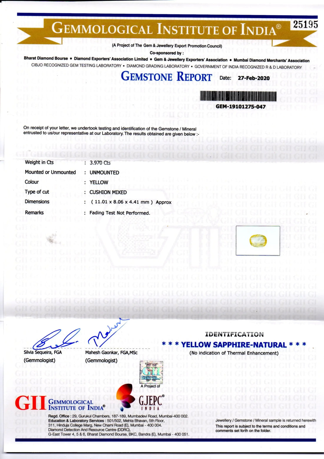 3.97 Ct GII Certified Unheated Untreated Natural Ceylon Yellow Sapphire - Venus Gems