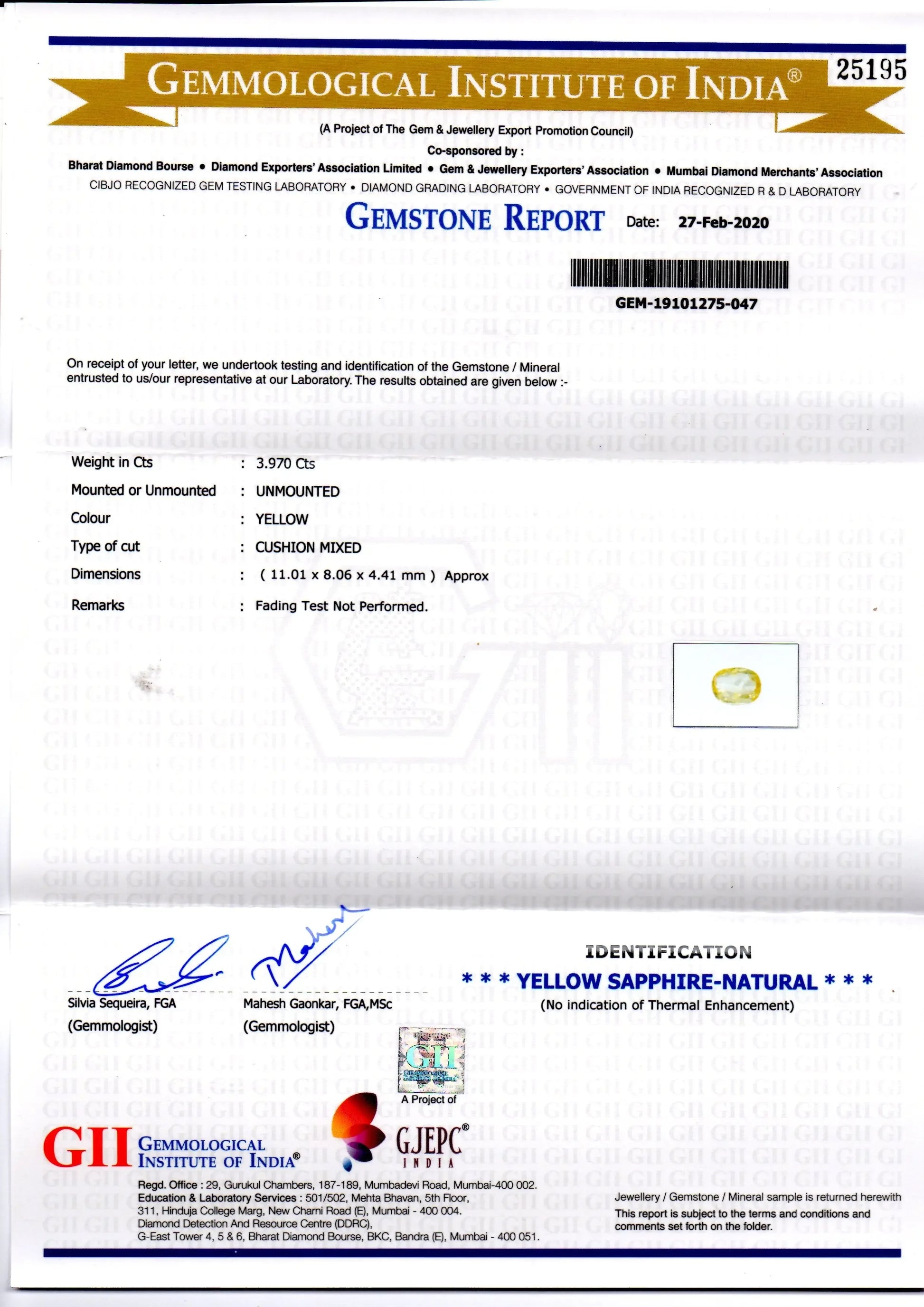 3.97 Ct GII Certified Unheated Untreated Natural Ceylon Yellow Sapphire - Venus Gems