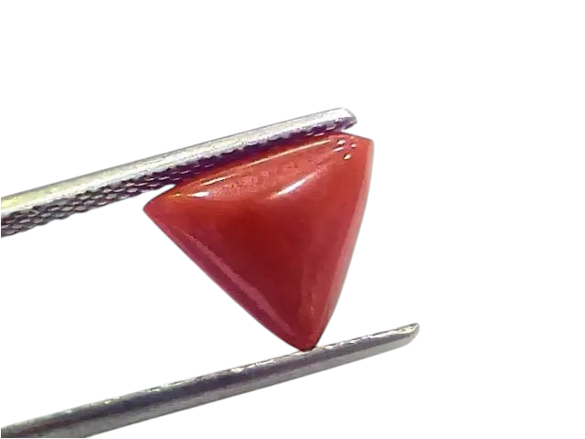 3.92 Ct 4.30 Ratti Natural Italian Triangle Red Coral Moonga Gemstone - Venus Gems