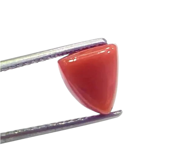 3.88 Ct 4.26 Ratti Natural Italian Triangle Red Coral Moonga Gemstone - Venus Gems