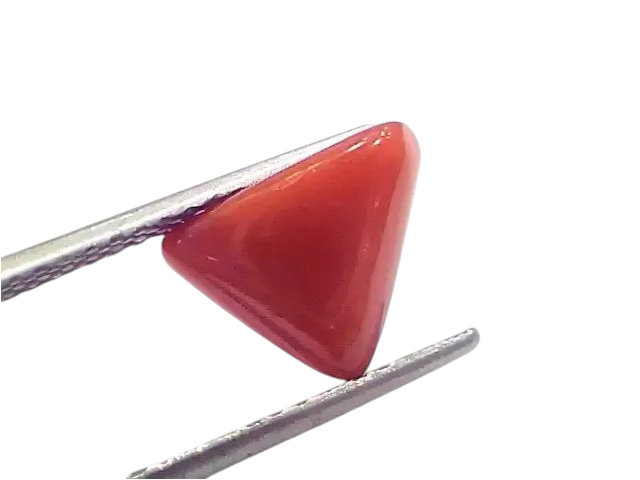3.91 Ct 4.29 Ratti Natural Italian Triangle Red Coral Moonga Gemstone - Venus Gems