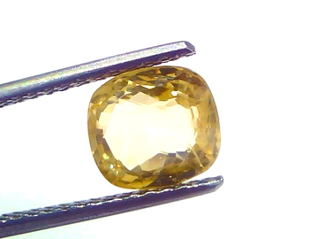 Ceylon yellow sapphire gemstone, 3.24 carats, cushion cut, held by tweezers against a white background.