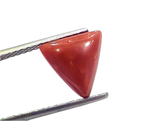 3.85 Ct 4.23 Ratti Natural Italian Triangle Red Coral Moonga Gemstone - Venus Gems