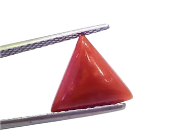 3.81 Ct 4.18 Ratti Natural Italian Triangle Red Coral Moonga Gemstone - Venus Gems