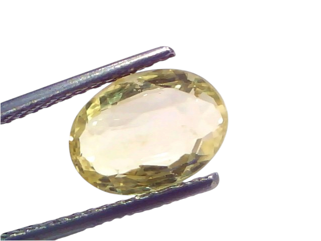 3.37 Ct IGI Certified Unheated Natural Ceylon Yellow Sapphire Pukhraj, oval cut, displayed with tweezers against a light back