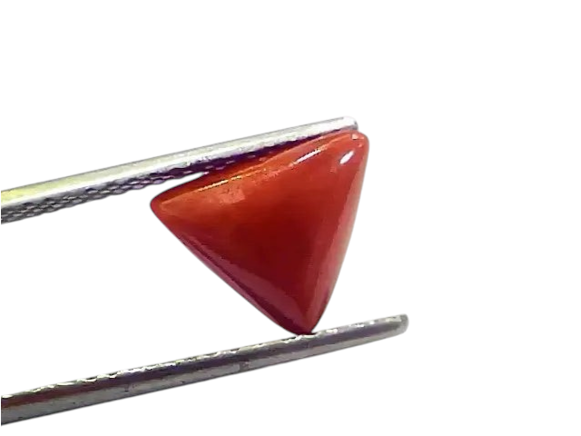 3.76 Ct 4.13 Ratti Natural Italian Triangle Red Coral Moonga Gemstone - Venus Gems