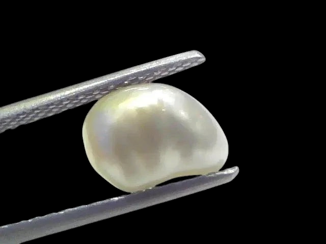 3.08 Ct Certified Natural Venunjula Real Sea Pearl Real Moti For Moon - Venus Gems