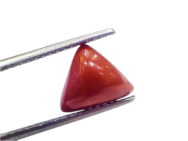 3.76 Ct 4.13 Ratti Natural Italian Triangle Red Coral Moonga Gemstone - Venus Gems