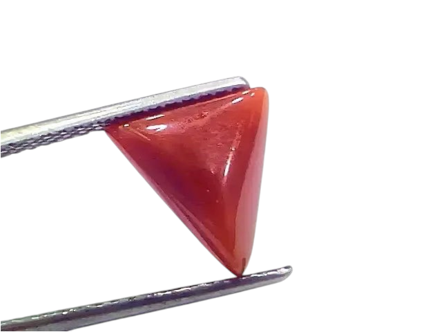 3.86 Ct 4.24 Ratti Natural Italian Triangle Red Coral Moonga Gemstone - Venus Gems