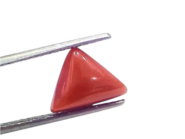 3.91 Ct 4.29 Ratti Natural Italian Triangle Red Coral Moonga Gemstone - Venus Gems