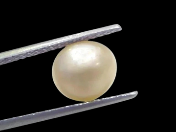 3.66 Ct Certified Natural Venunjula Real Sea Pearl Real Moti For Moon - Venus Gems