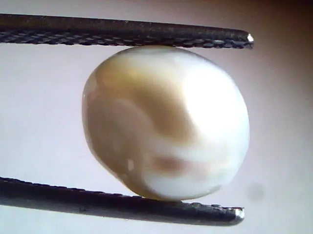3.06 Carat Certified Natural Real Keshi Pearl,Moti