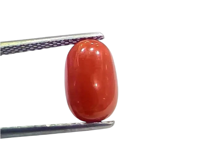 4.04 Ct 4.48 Ratti Natural Italian Red Coral Moonga Gemstone - Venus Gems