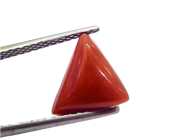 3.74 Ct 4.10 Ratti Natural Italian Triangle Red Coral Moonga Gemstone - Venus Gems