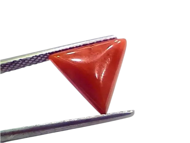 3.81 Ct 4.18 Ratti Natural Italian Triangle Red Coral Moonga Gemstone - Venus Gems