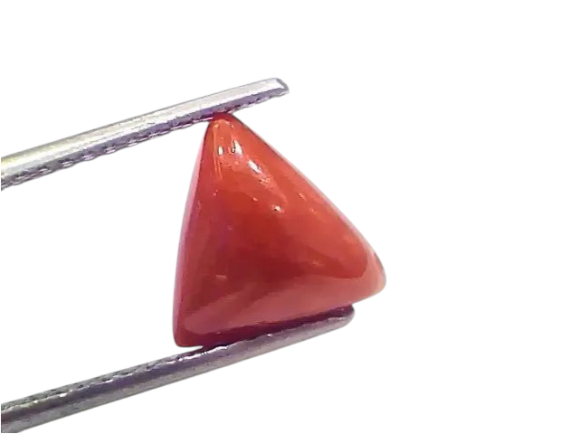 3.85 Ct 4.23 Ratti Natural Italian Triangle Red Coral Moonga Gemstone - Venus Gems