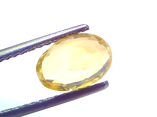 Oval-shaped yellow sapphire held by tweezers, showcasing its clarity and brilliance. IGI certified, 3.15 carats.