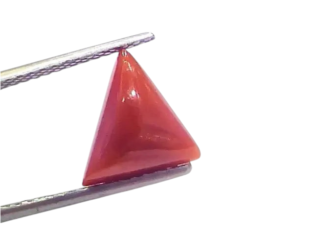 3.86 Ct 4.24 Ratti Natural Italian Triangle Red Coral Moonga Gemstone - Venus Gems