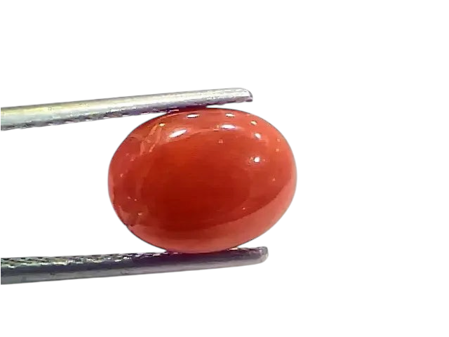 4.00 Ct 4.44 Ratti Natural Italian Red Coral Moonga Gemstone - Venus Gems