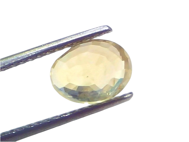 3.53 Carat Certified Ceylon Yellow Sapphire Pukhraj Stone, oval cut, held with tweezers against a light background.