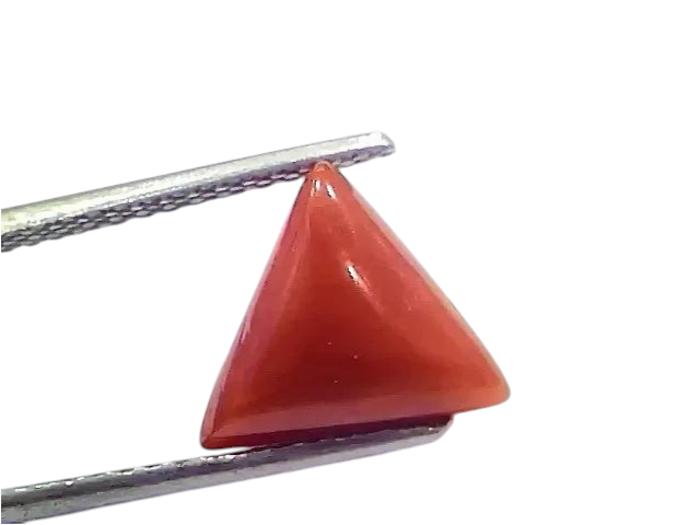 3.66 Ct 4.02 Ratti Natural Italian Triangle Red Coral Moonga Gemstone - Venus Gems