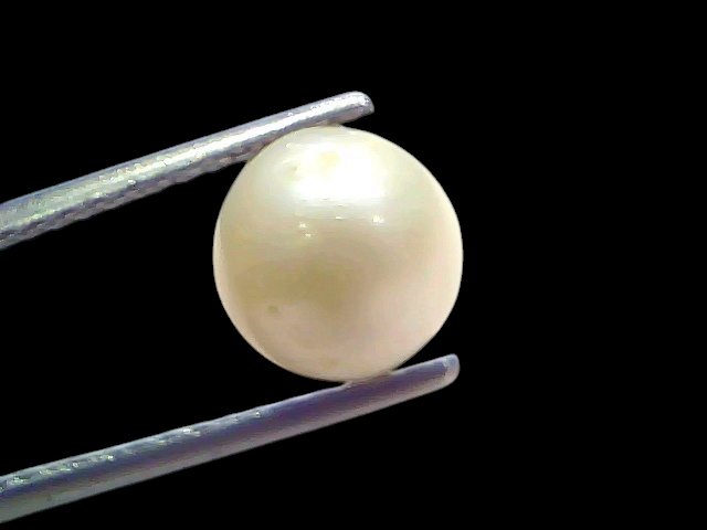 Venus Gems 3.70 carat natural white South Sea pearl held in tweezers, showcasing a round shape and excellent luster.