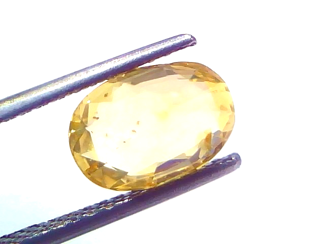 Oval-shaped yellow sapphire gemstone, 3.13 carats, unheated, held with tweezers against a white background.