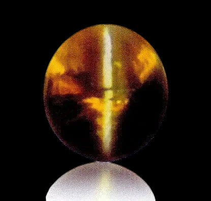3.90 Ct Untreated Kanak Khet Natural Chrysoberyl Cats Eye *RARE* - Venus Gems